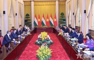 Vietnam treasures ties with Hungary: State President